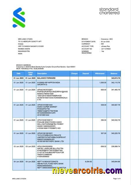 India Standard Chartered Bank account statement Word and PDF, version 3